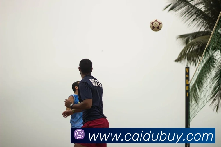 彩客吧发展历程